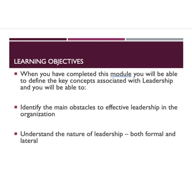 Bundle: Effective Leadership and Seamless Change - Image 8