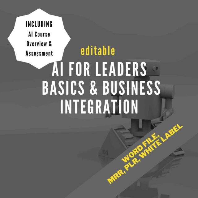 AI for Leaders Basics & Business Integration Workbook with MRR