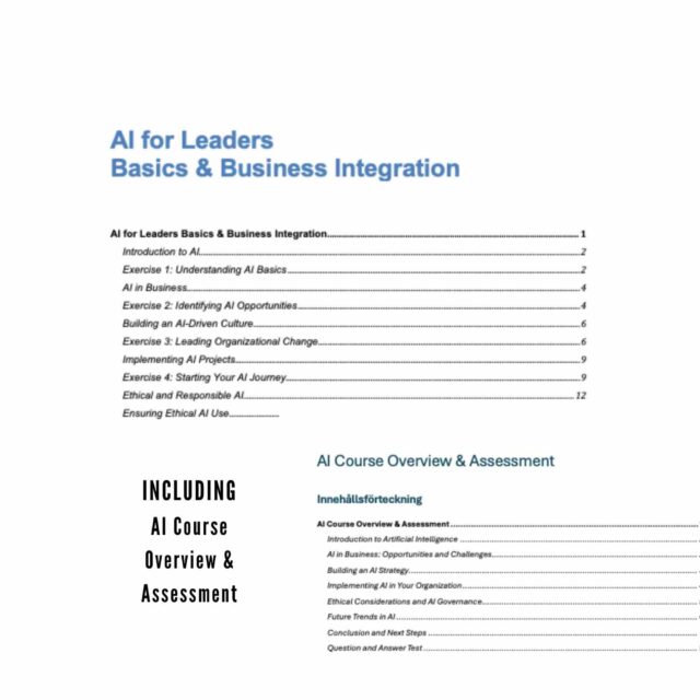 AI for Leaders Basics & Business Integration Workbook with MRR - Image 2